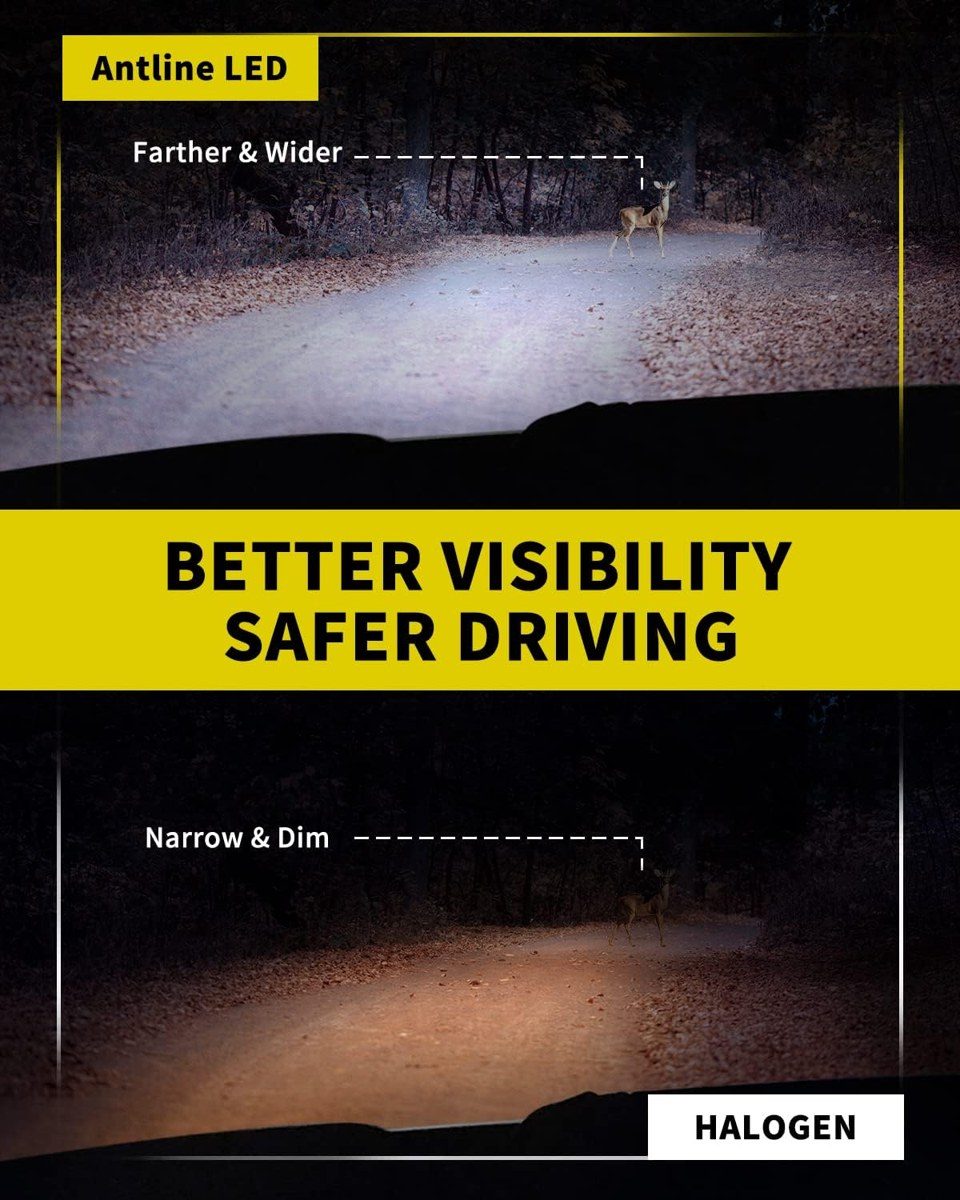 Antline Fog and DRL