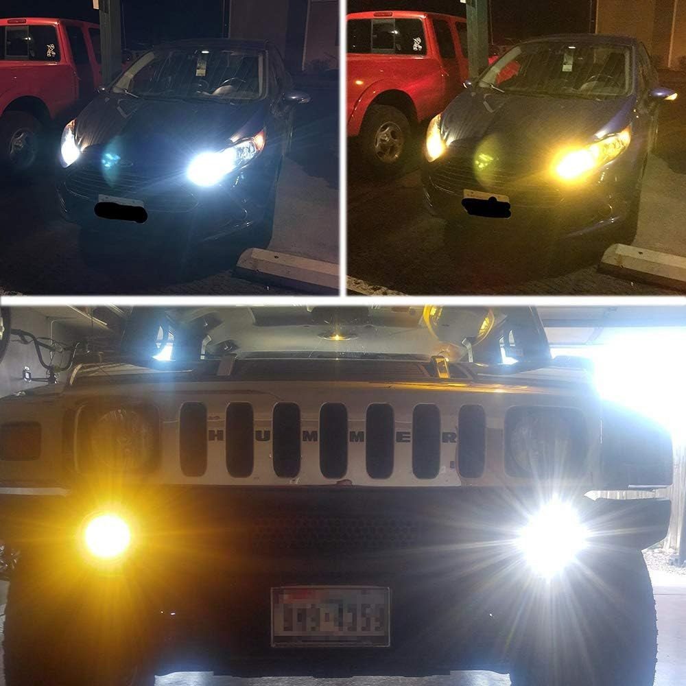 Antline Switchback & Turn